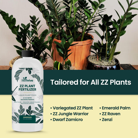 Dwarf Zamicro ZZ plant benefited by HiThrive nutrient blend.