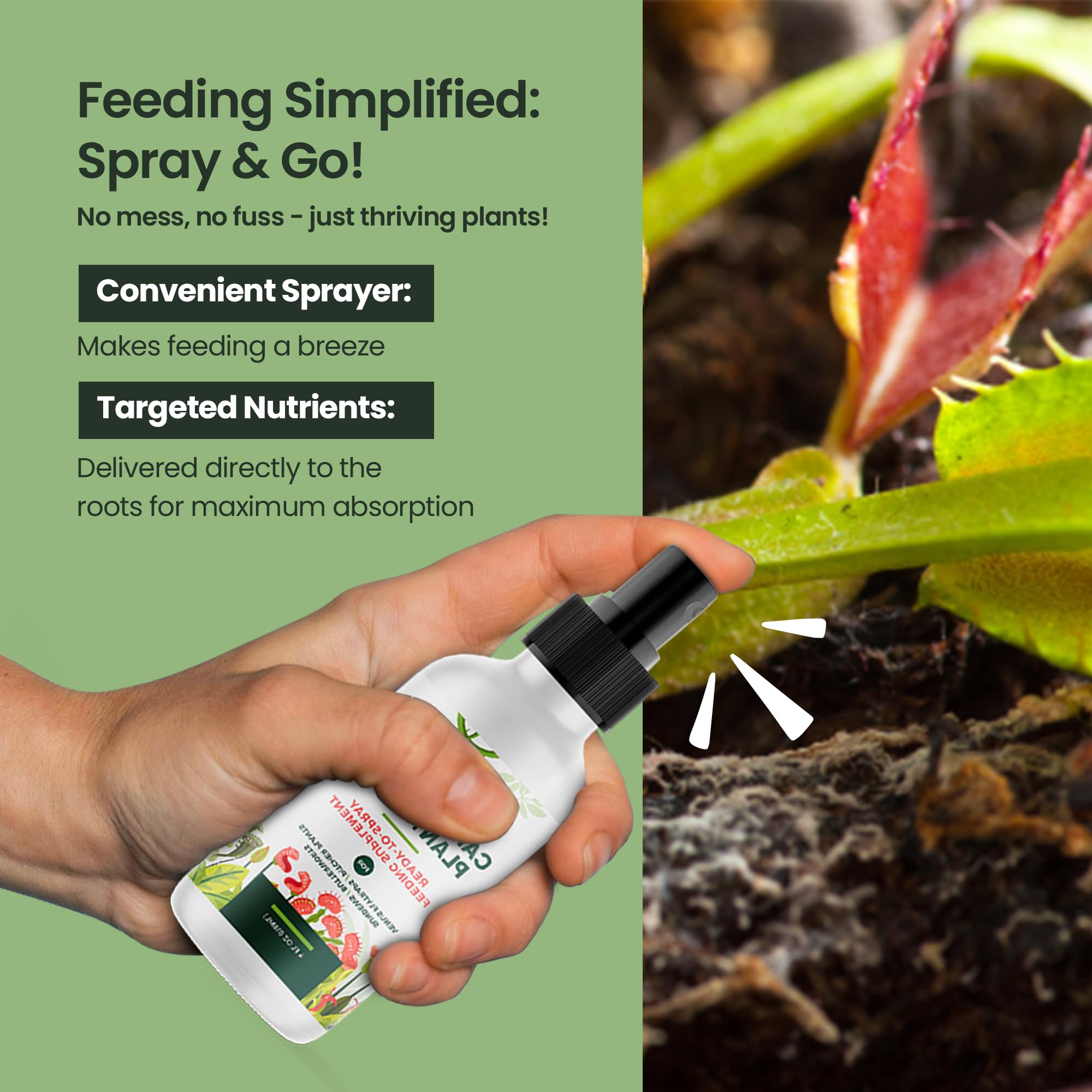 HiThrive weekly spraying technique around plant roots supports steady growth.