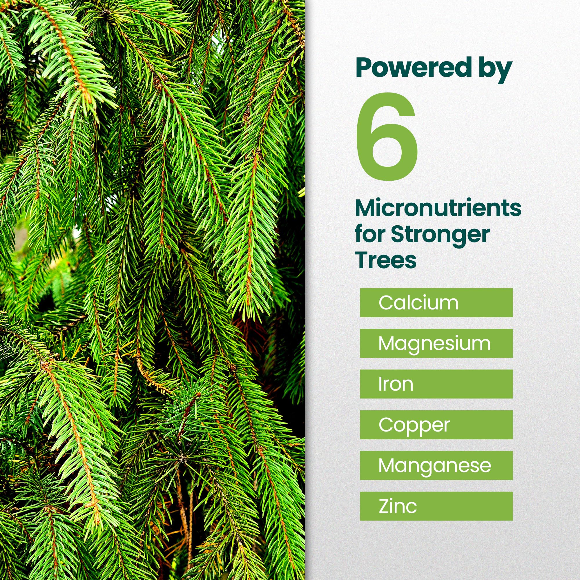 HiThrive Evergreen Fertilizer foliage application view emphasizes resilience