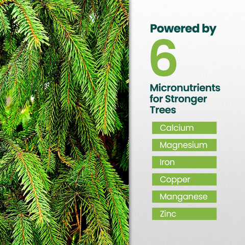 HiThrive Evergreen Fertilizer foliage application view emphasizes resilience