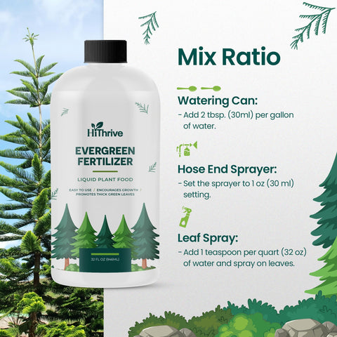 HiThrive Evergreen Fertilizer garden-setup image shows thriving greenery