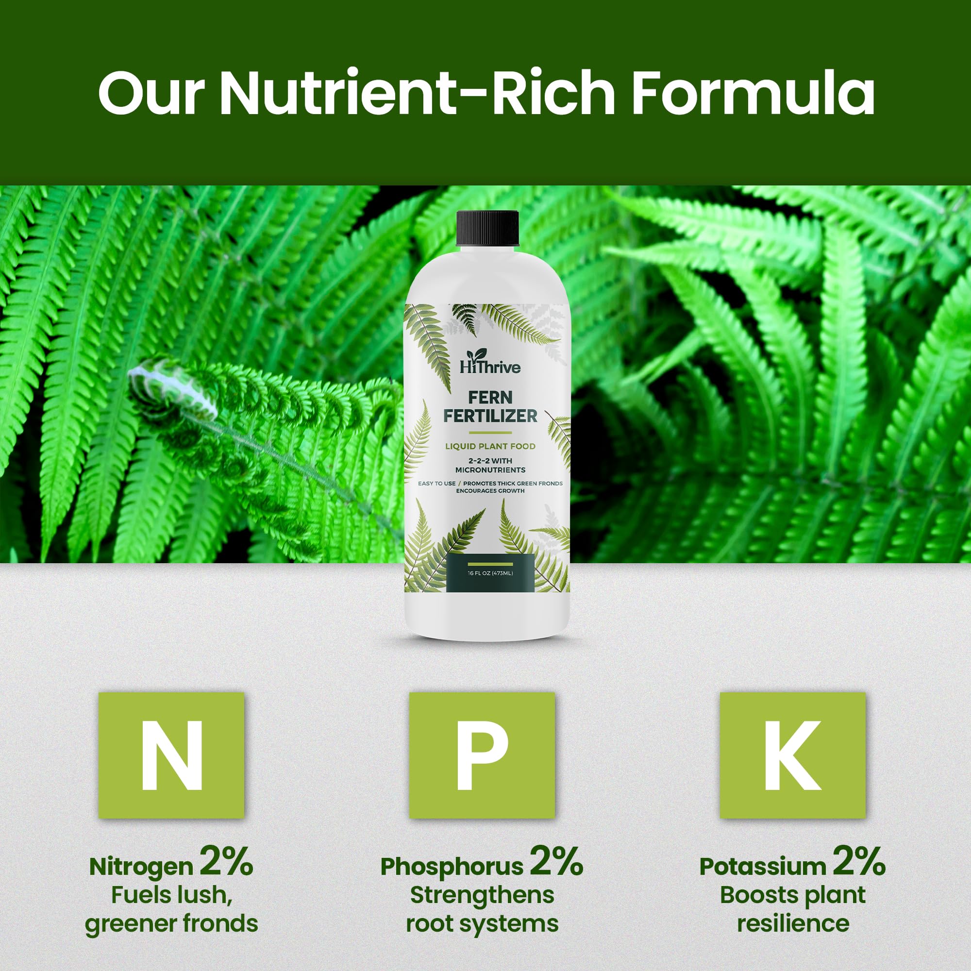 HiThrive fern fertilizer is poured onto soil for easy indoor care.