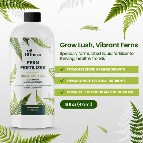 HiThrive fern fertilizer measuring cap shows precise dosing for consistent feeding.