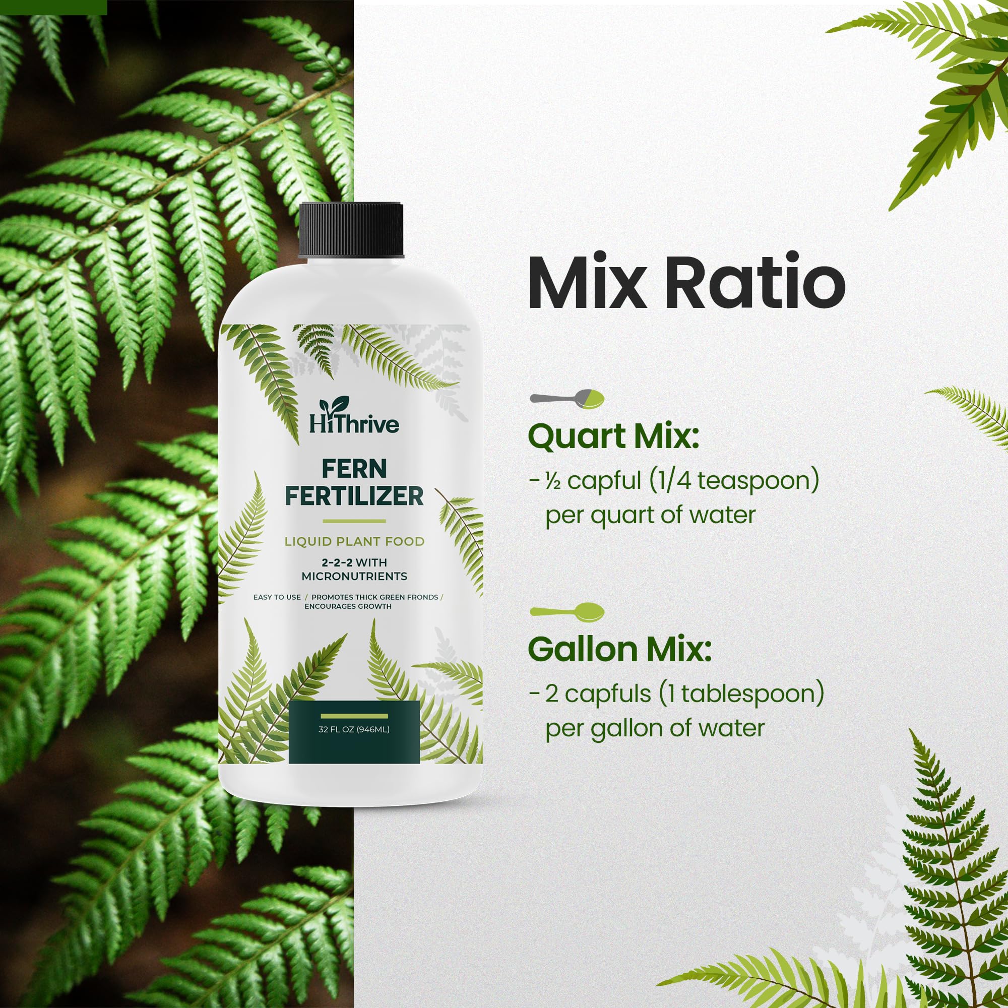 Healthy root growth pictured with HiThrive fern fertilizer.