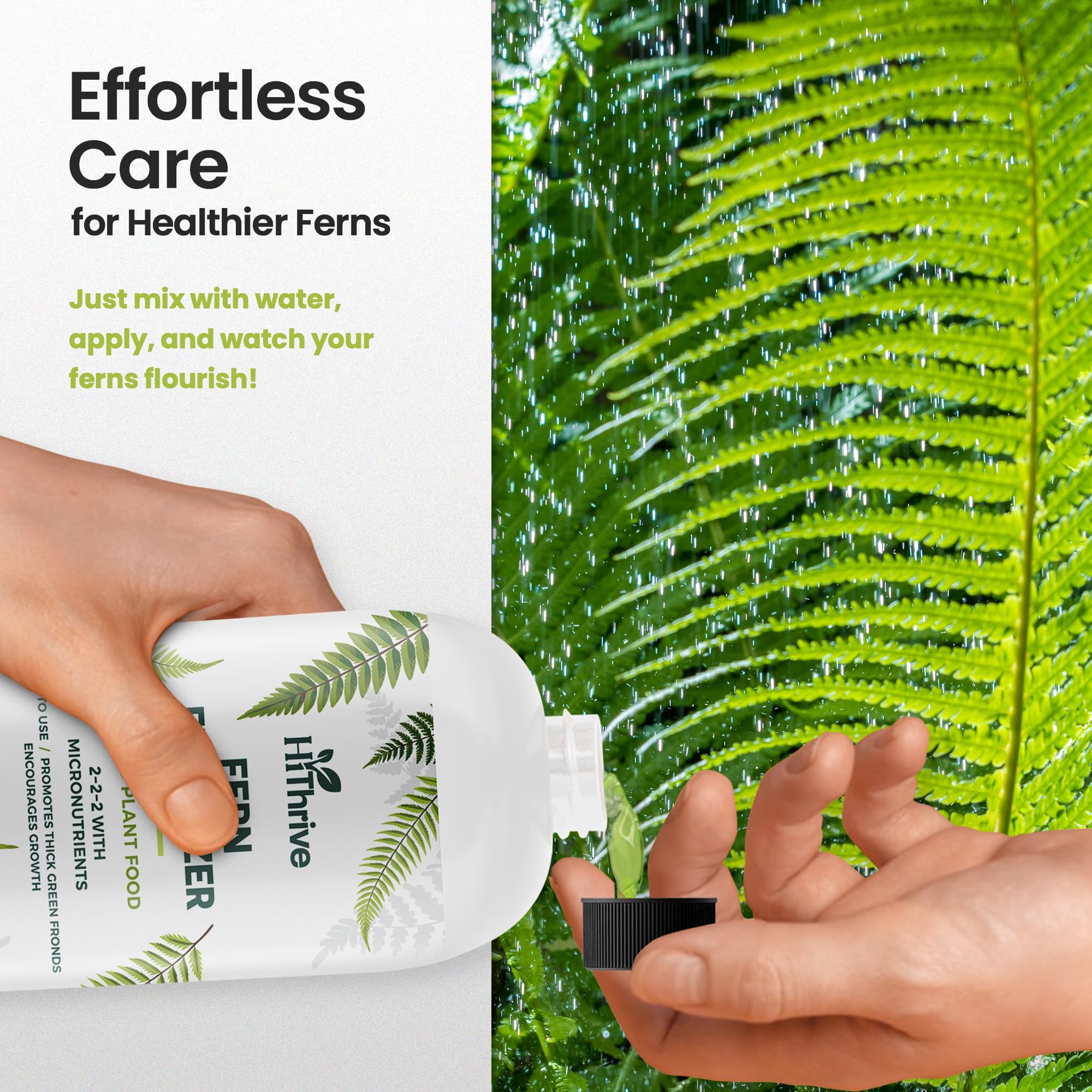 HiThrive fern roots look strong and resilient after feeding.