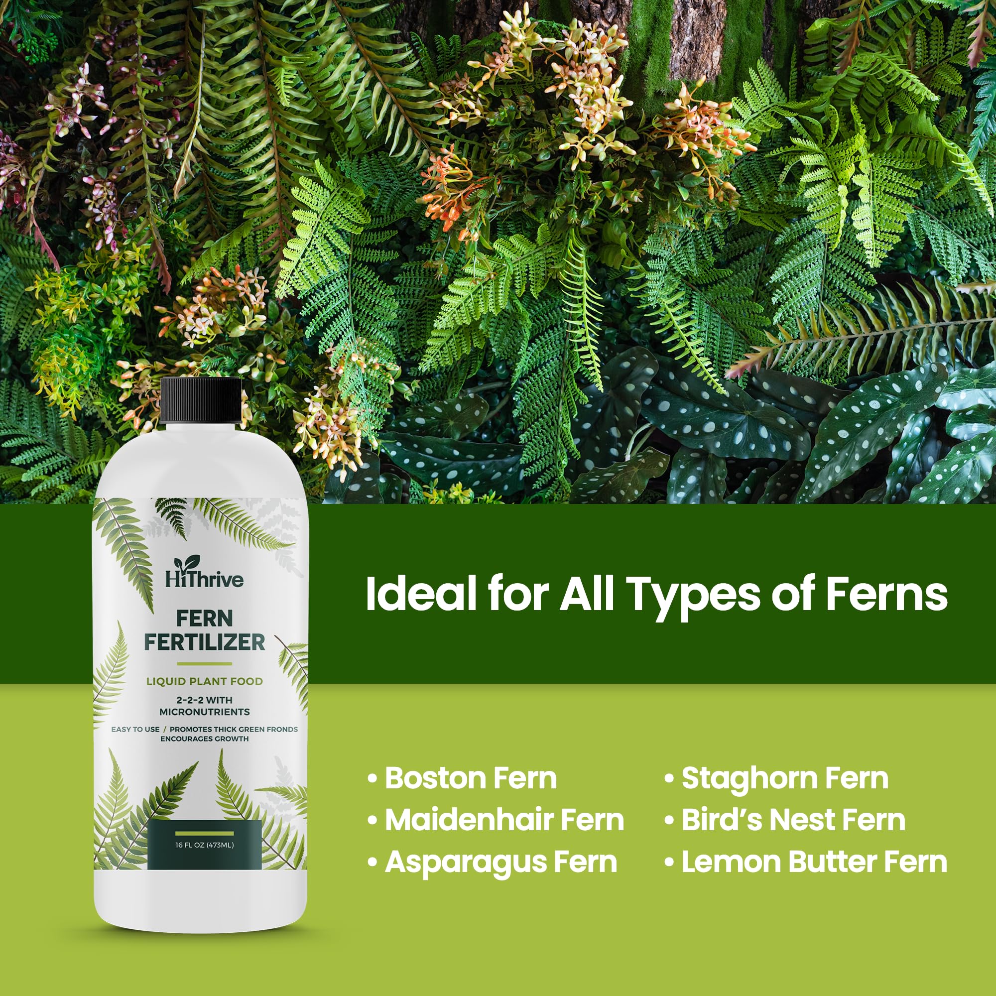 HiThrive fern varieties including Boston, Maidenhair, and Staghorn thriving.