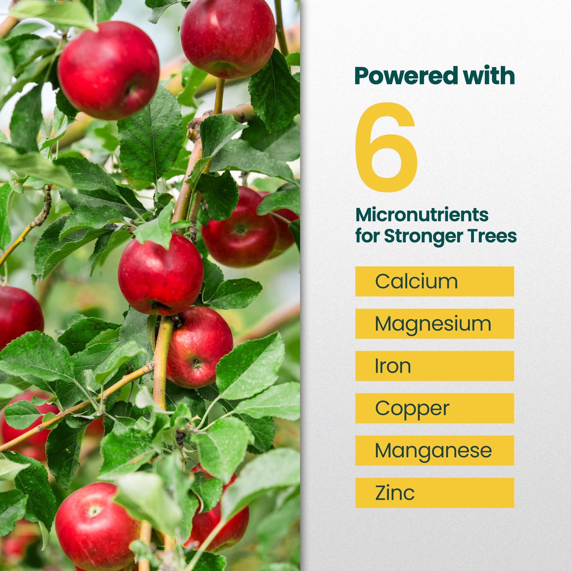 HiThrive fruit tree fertilizer used on blueberries in a garden.