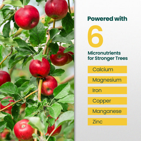 HiThrive fruit tree fertilizer used on blueberries in a garden.