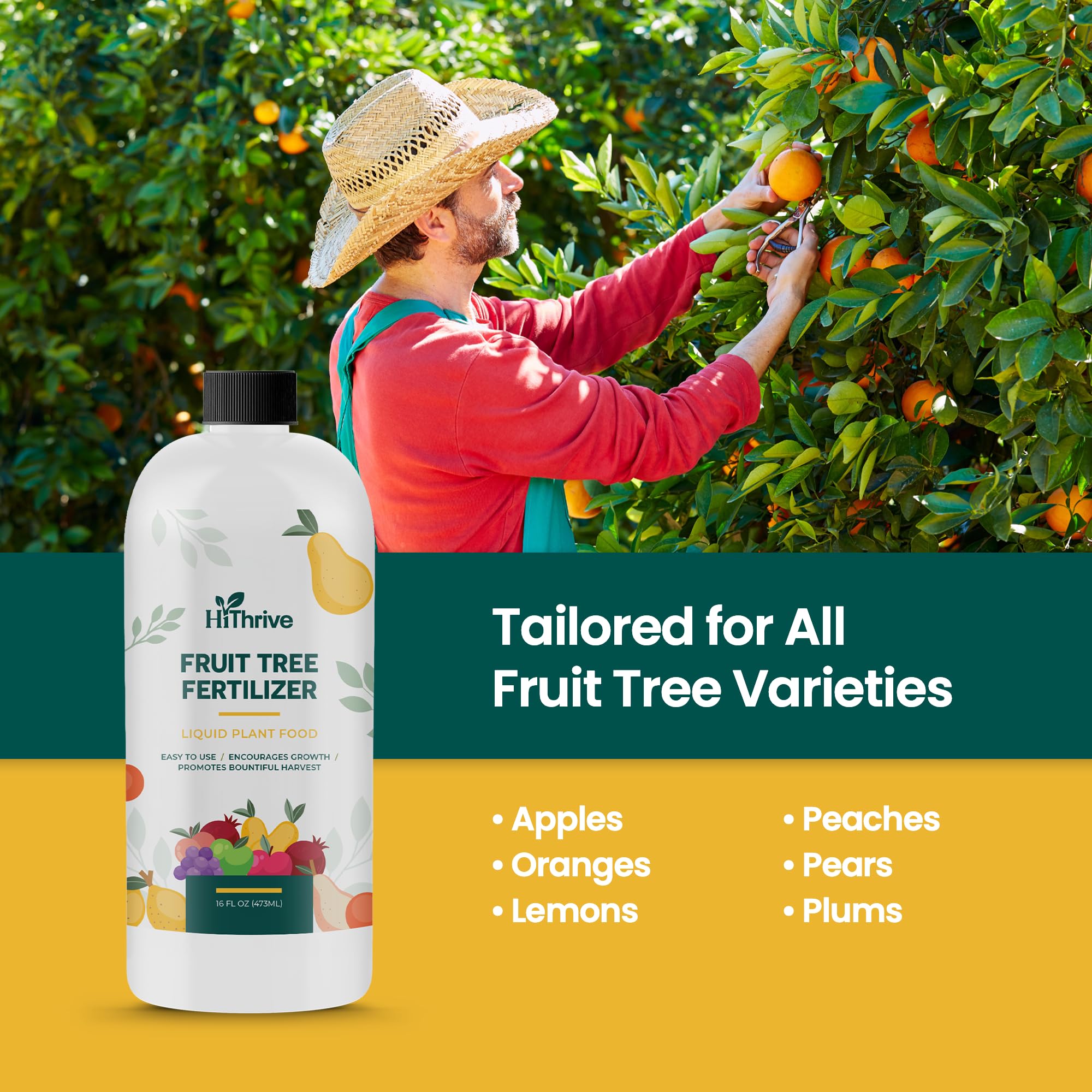 HiThrive fruit tree fertilizer applied to strawberry plants for lush foliage.