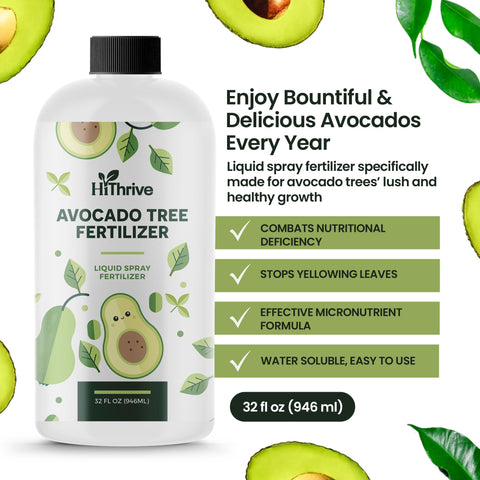 HiThrive fruit tree fertilizer being mixed in water for rapid feeding