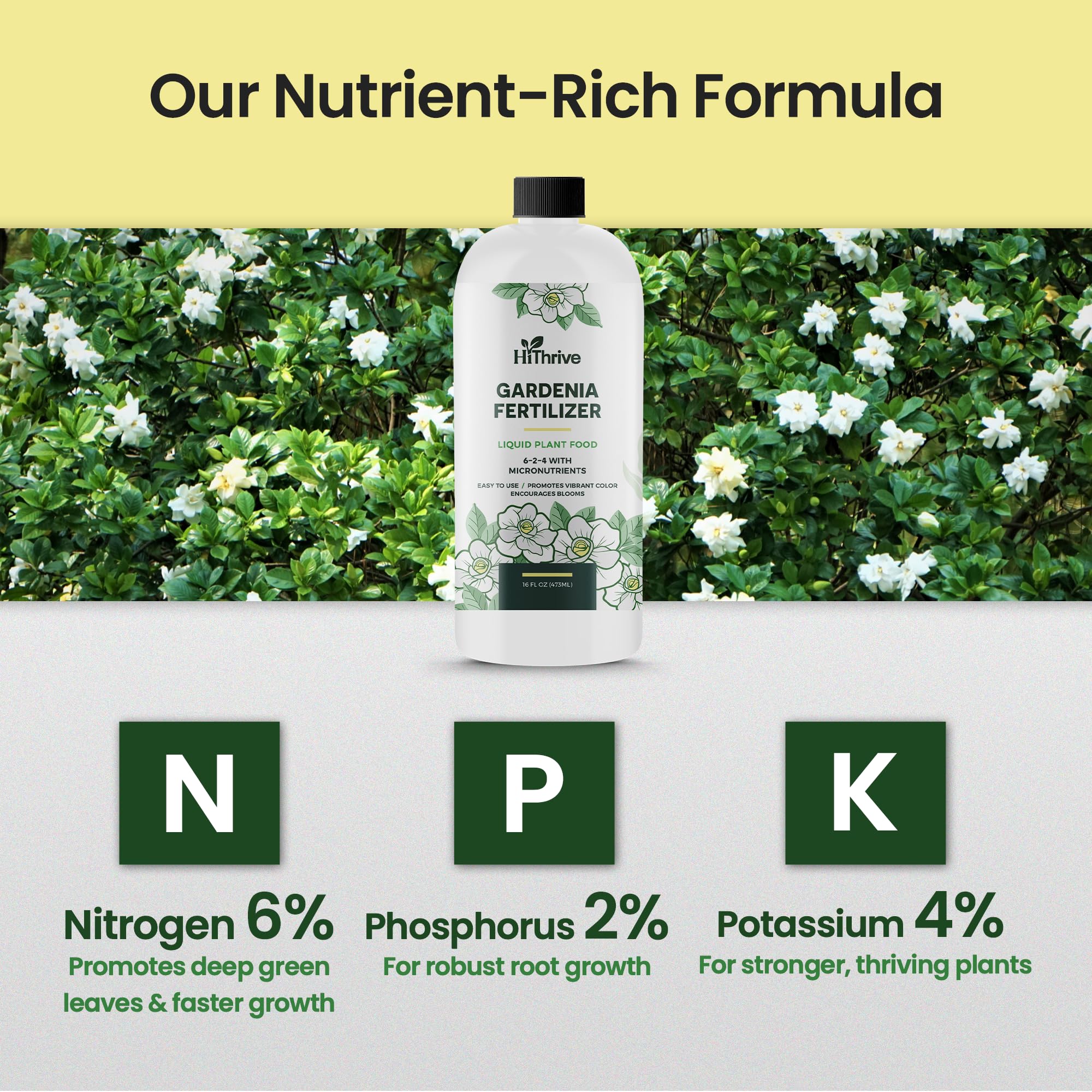HiThrive measuring spoon beside 1 teaspoon per gallon recommendation.
