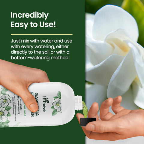 Outdoor flower bed receiving HiThrive Gardenia Fertilizer for vibrant color.
