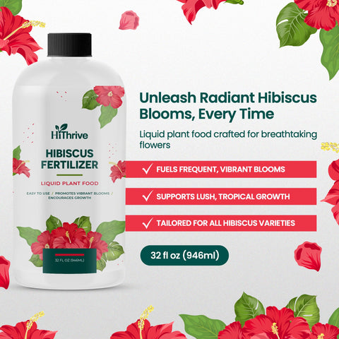 HiThrive hibiscus bloom closeup highlights vibrant color and fuller flowers.