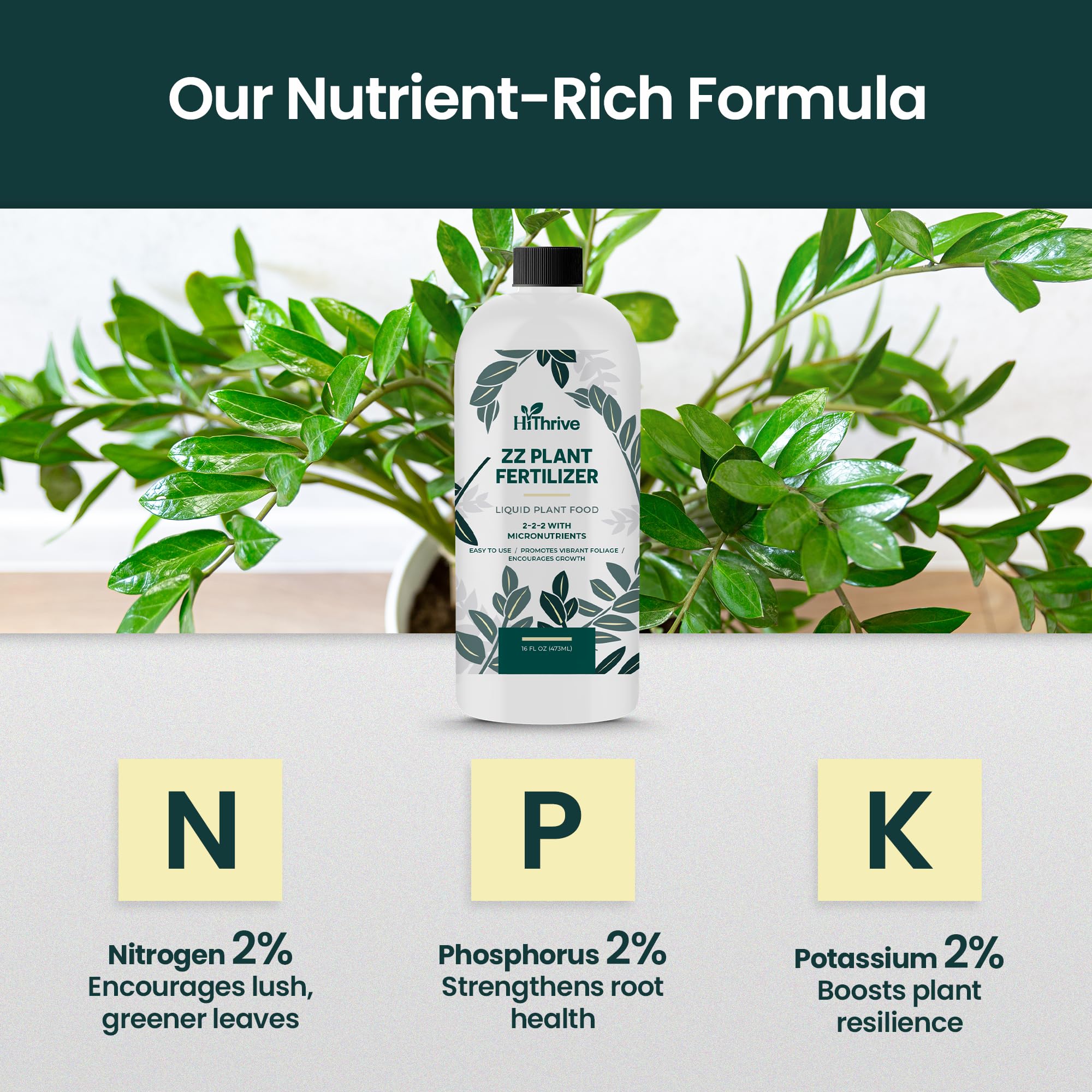 Indoor and outdoor use of HiThrive ZZ plant fertilizer for year-round care.