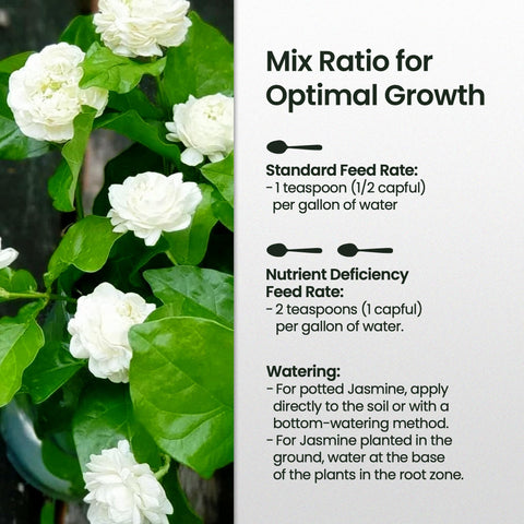 HiThrive Jasmine Fertilizer on plant showing lush growth
