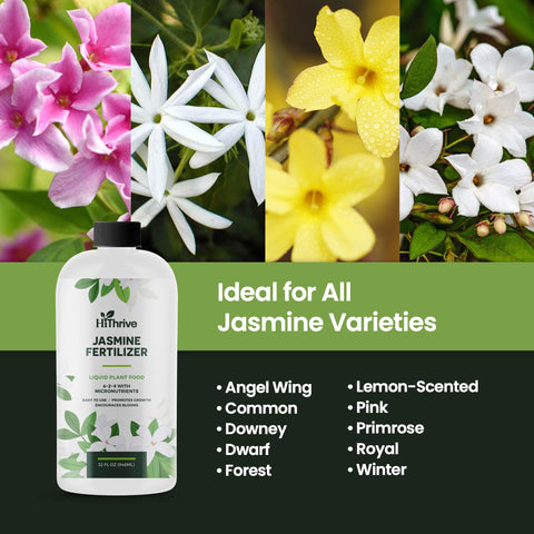 HiThrive Jasmine fertilizer label close-up indicating quality blend