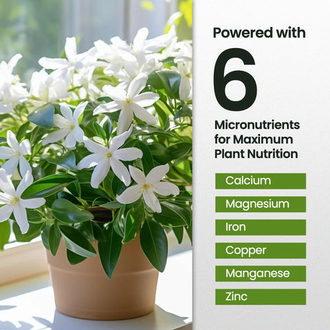 HiThrive Jasmine Fertilizer measuring spoon showing dosage for gallon