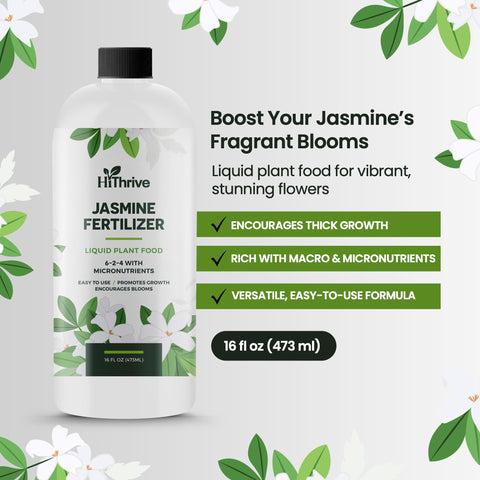 HiThrive Jasmine Fertilizer being mixed into watering can for indoor plants