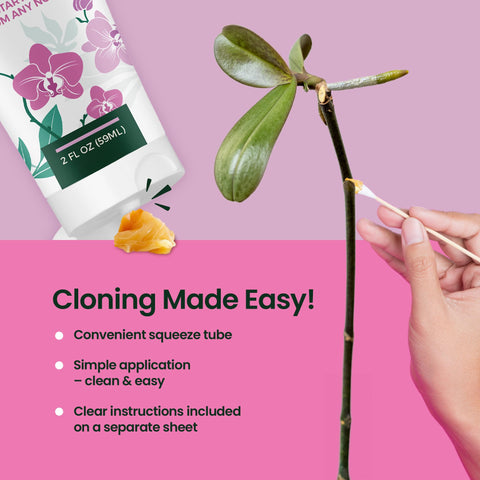 HiThrive Keiki Paste acts as a bloom booster on buds for faster flowering