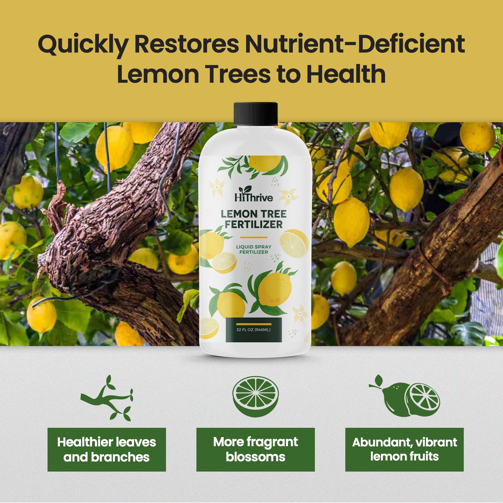HiThrive Lemon Tree Fertilizer applied around the base for even root nourishment