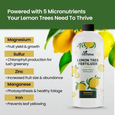 HiThrive fertilizer promotes vibrant leaves and color in lemon trees.