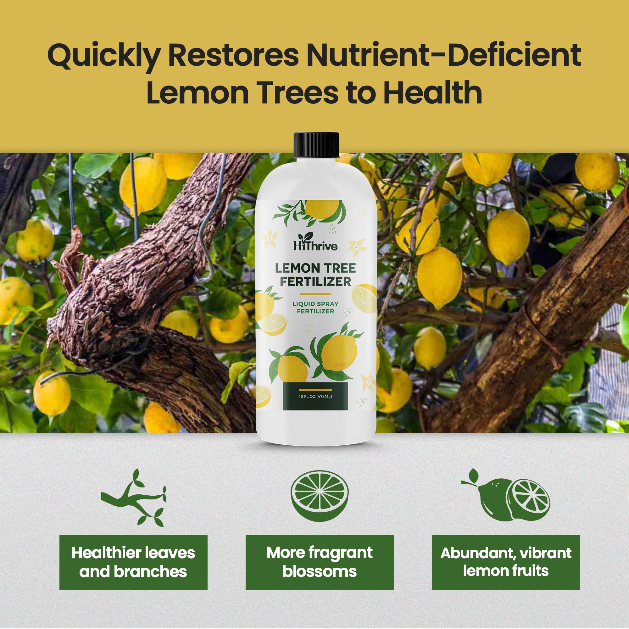 HiThrive Lemon Tree Fertilizer label shows NPK and nutrients.