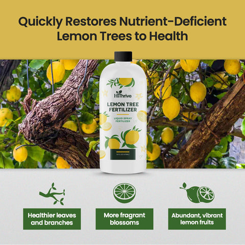 HiThrive Lemon Tree Fertilizer label shows NPK and nutrients.