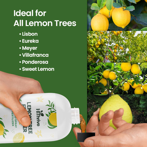 HiThrive Lemon Tree Fertilizer bottle close-up shows clear measuring guidance