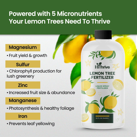 HiThrive Lemon Tree Fertilizer spray on lemon tree leaves promoting healthy growth