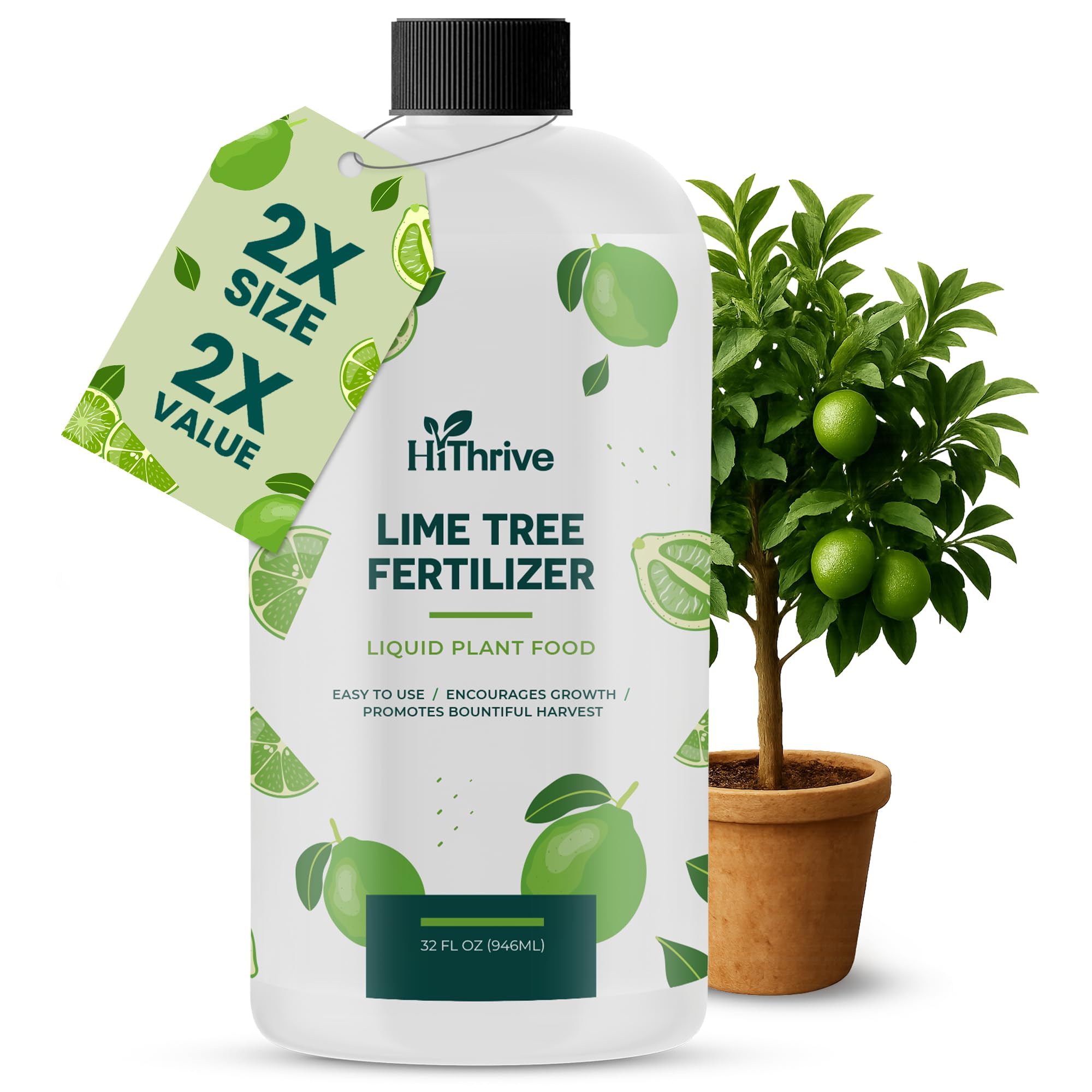 HiThrive Lime Tree Fertilizer 32oz bottle pour shows easy application for healthier lime trees.