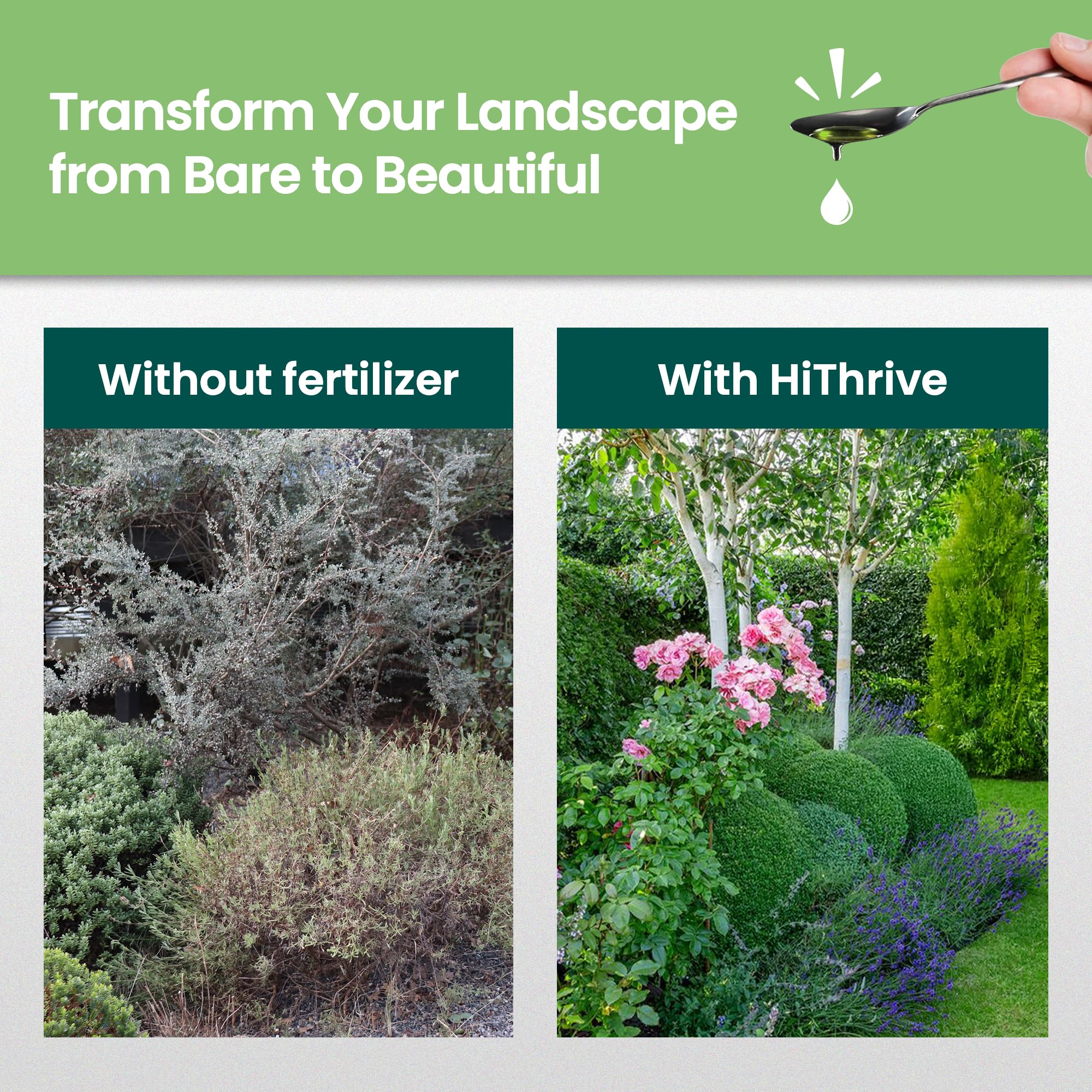 HiThrive liquid nutrient formula strengthens roots and promotes dense foliage