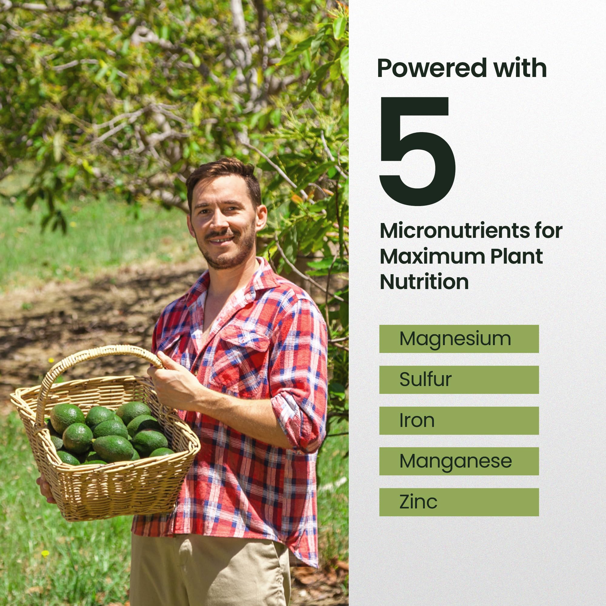 HiThrive measuring spoon dispensing fertilizer for easy application