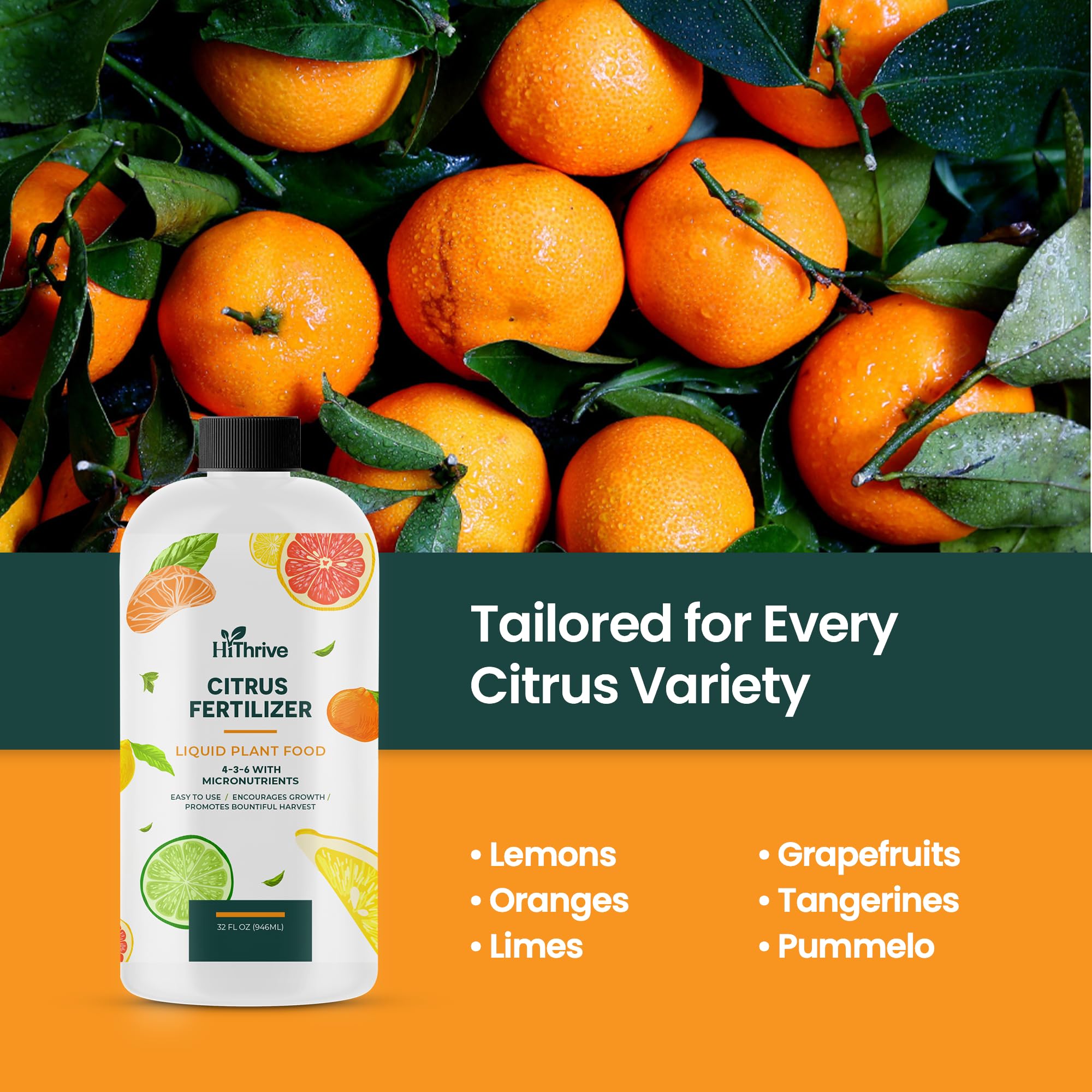 HiThrive meyer lemon-tree fertilizer leaves closeup reveals lush green vitality.