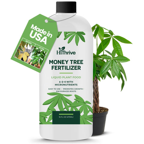 HiThrive Money Tree bottle 16oz ready-for-use fertilizer for lush growth