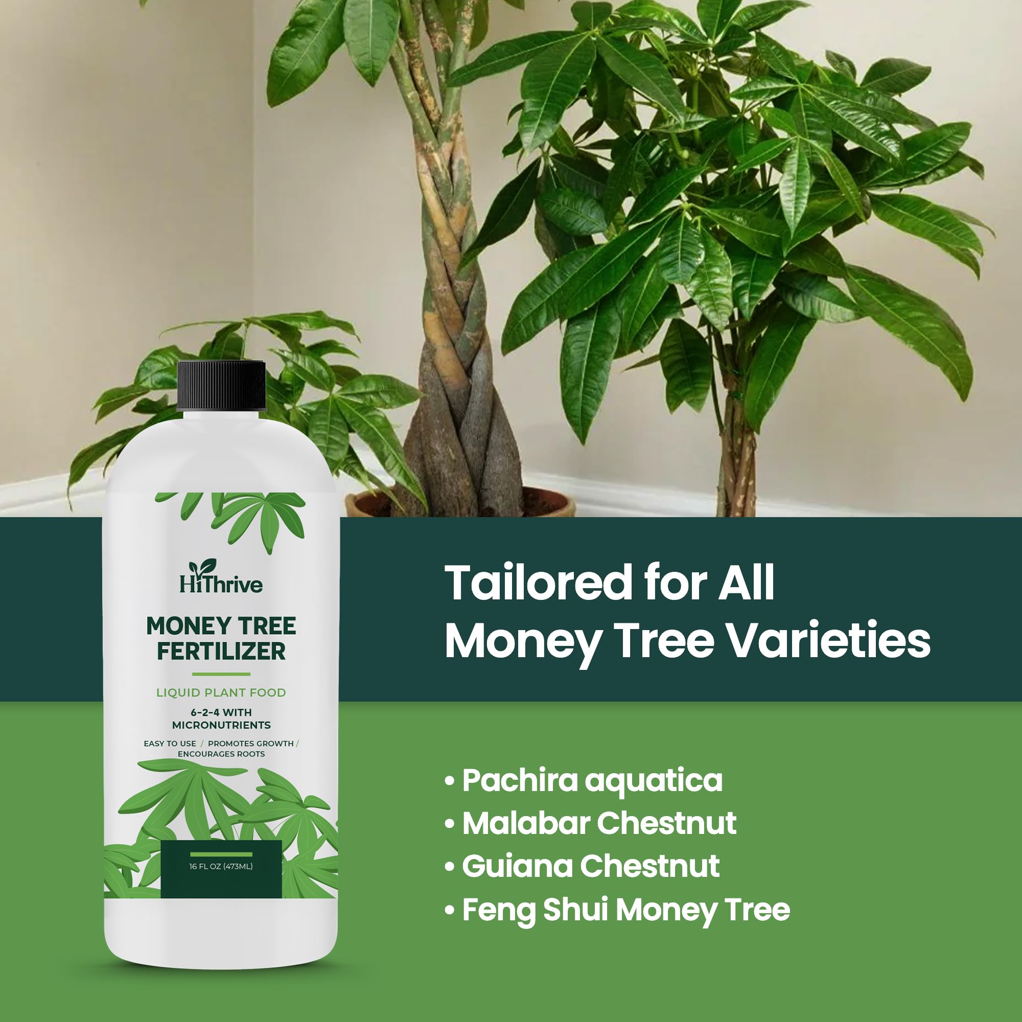 HiThrive Money Tree compact packaging fits neatly on a gardener’s shelf