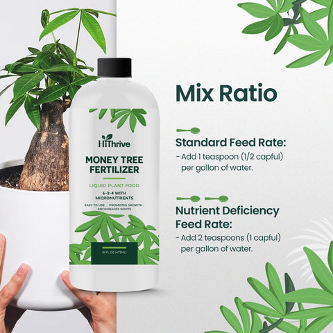 HiThrive Money Tree application shows easy watering with fertilizer during care