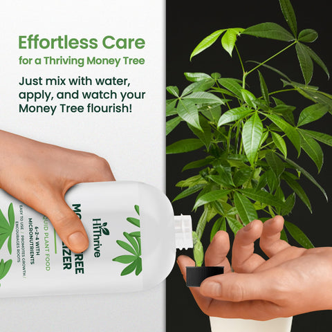 HiThrive Money Tree formula emphasizes macro and micronutrients for balanced nutrition
