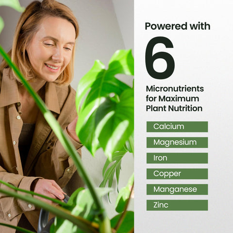 HiThrive Monstera dilution guide helps accurate feeding.