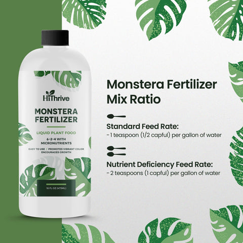 HiThrive Monstera promotes strong growth and vibrant foliage.