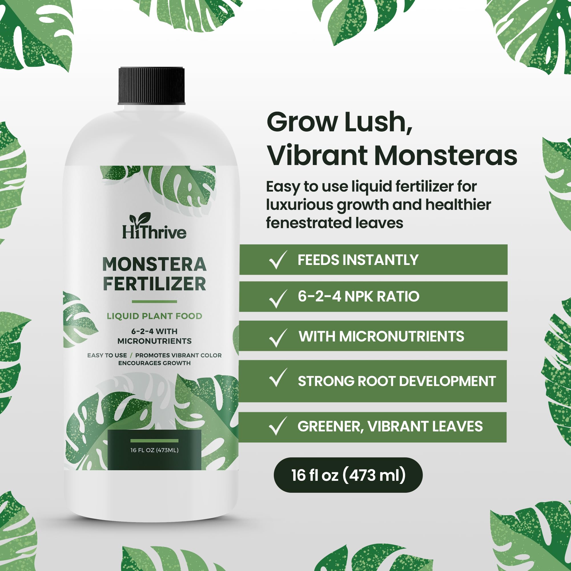 HiThrive Monstera leaves glossy finish supported by balanced nutrients.