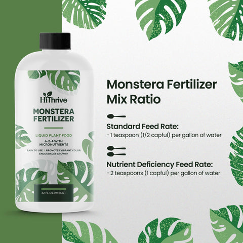 HiThrive Monstera liquid fertilizer being mixed with water for feed