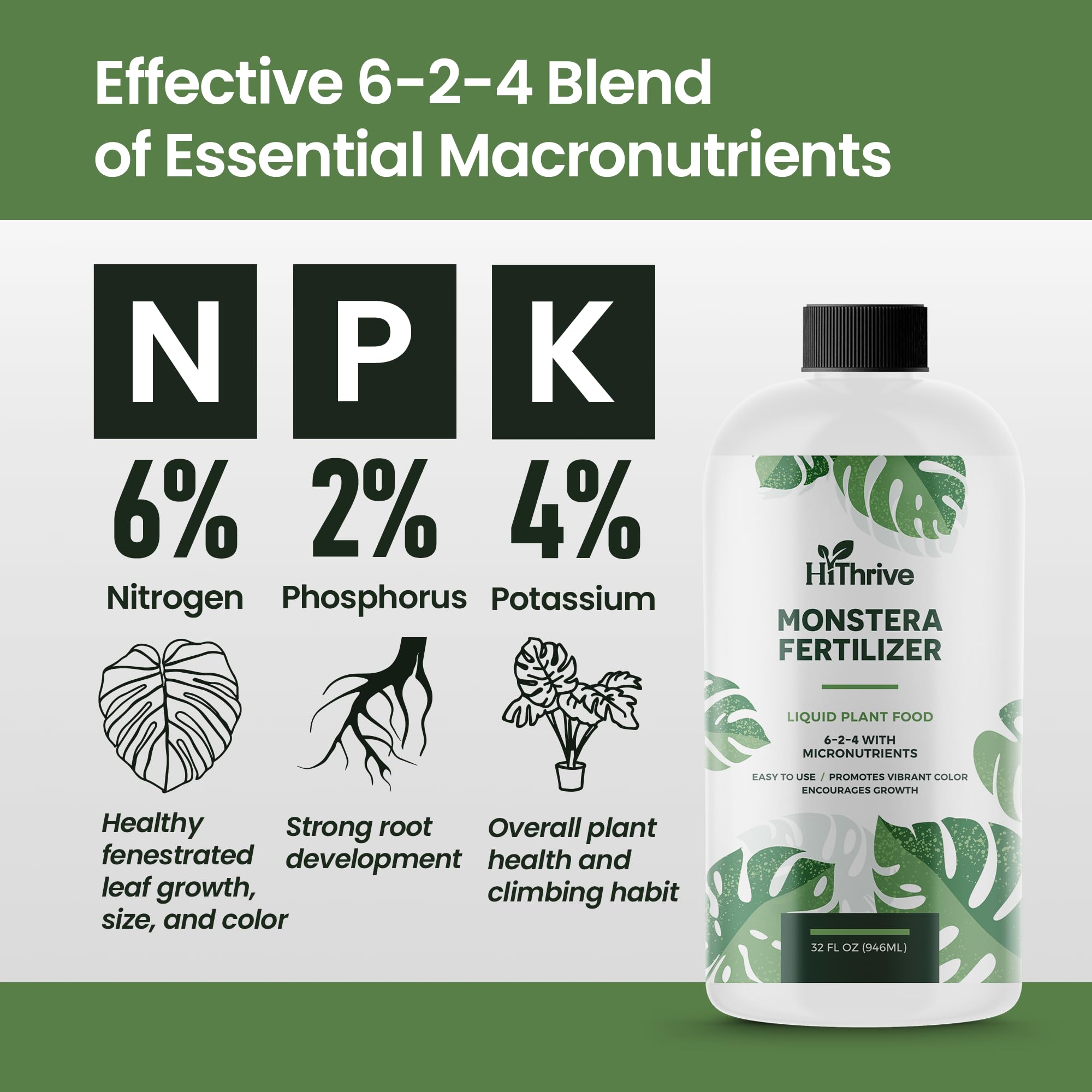 HiThrive Monstera Obliqua fertilizer application for vibrant growth