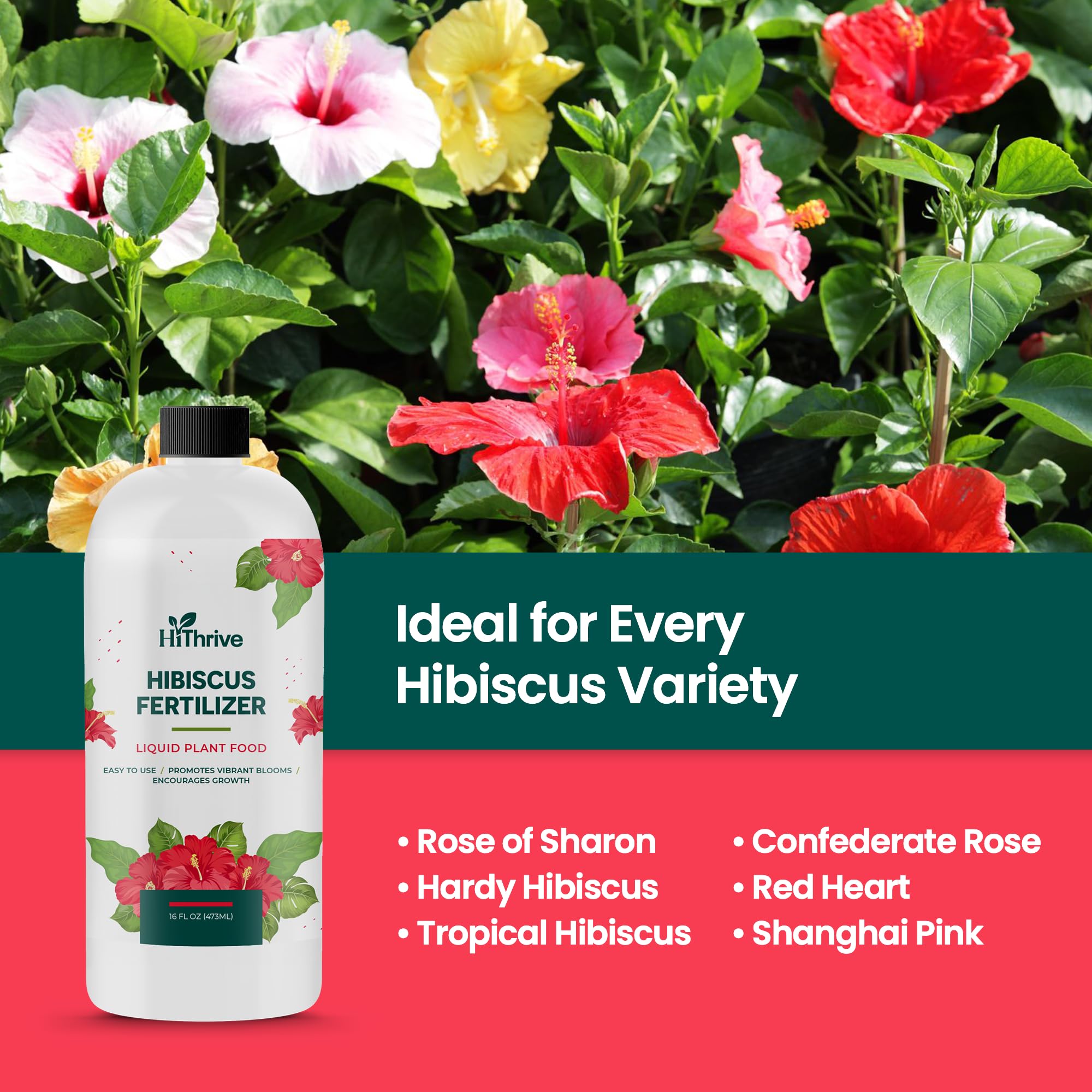 HiThrive nutrient-rich formula delivers macronutrients and micronutrients for vibrant hibiscus.