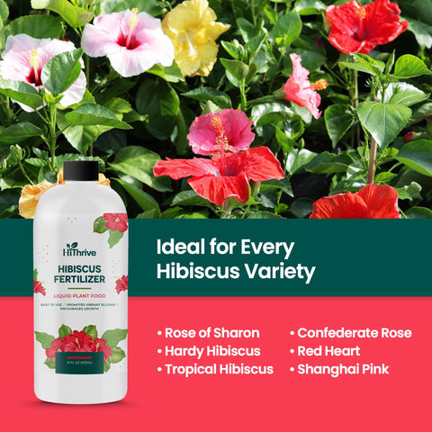 HiThrive nutrient-rich formula delivers macronutrients and micronutrients for vibrant hibiscus.