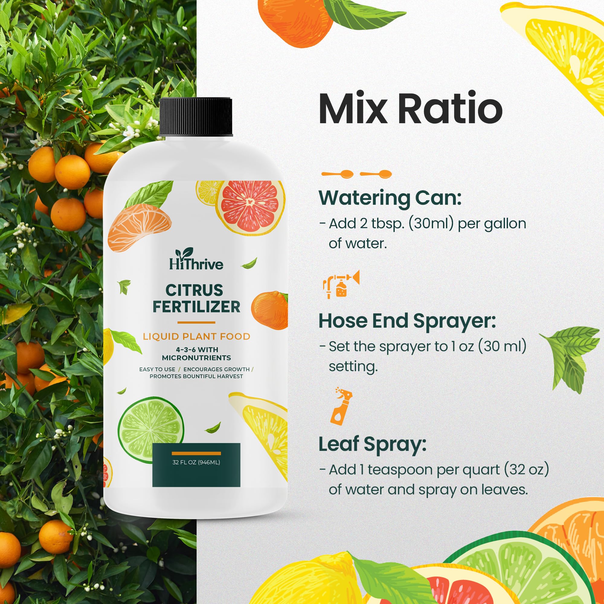HiThrive orange-tree citrus fertilizer growth-stem shows vibrant fruit potential.