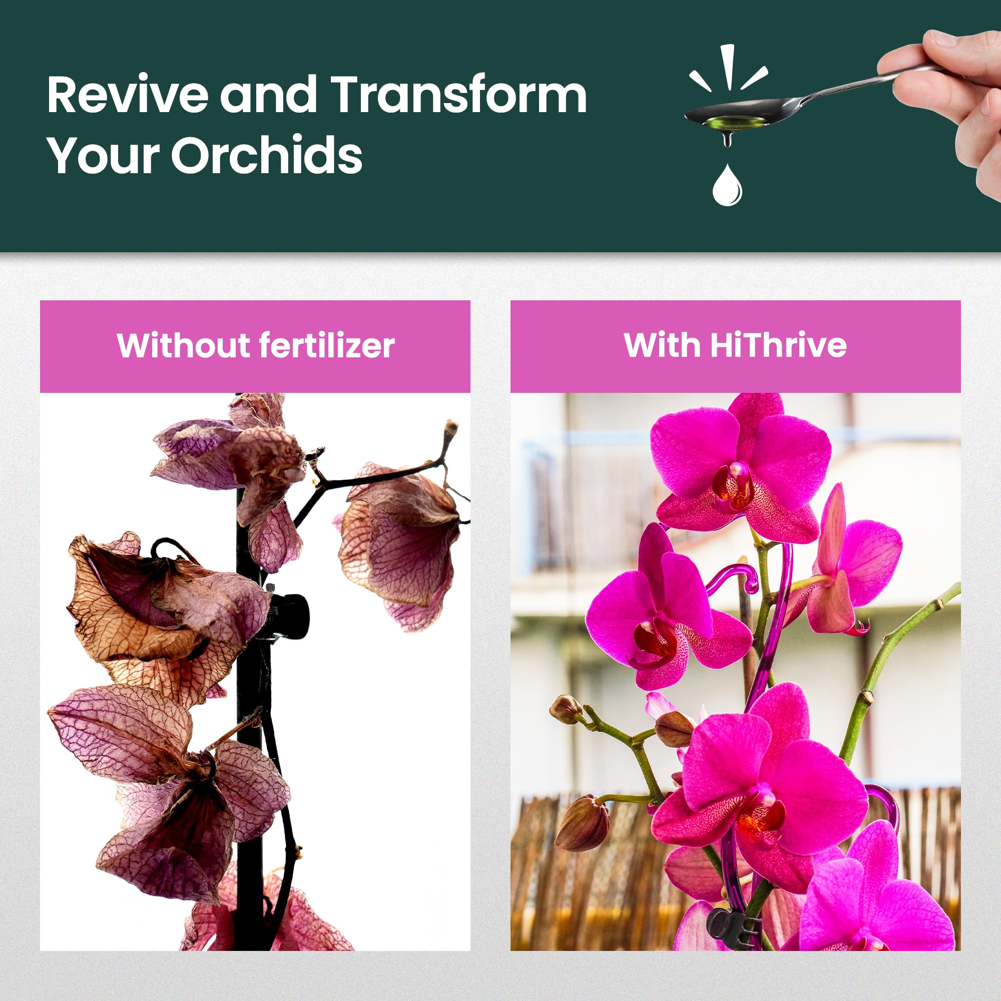 HiThrive Orchid Fertilizer bottle in water being mixed for indoor-outdoor care.