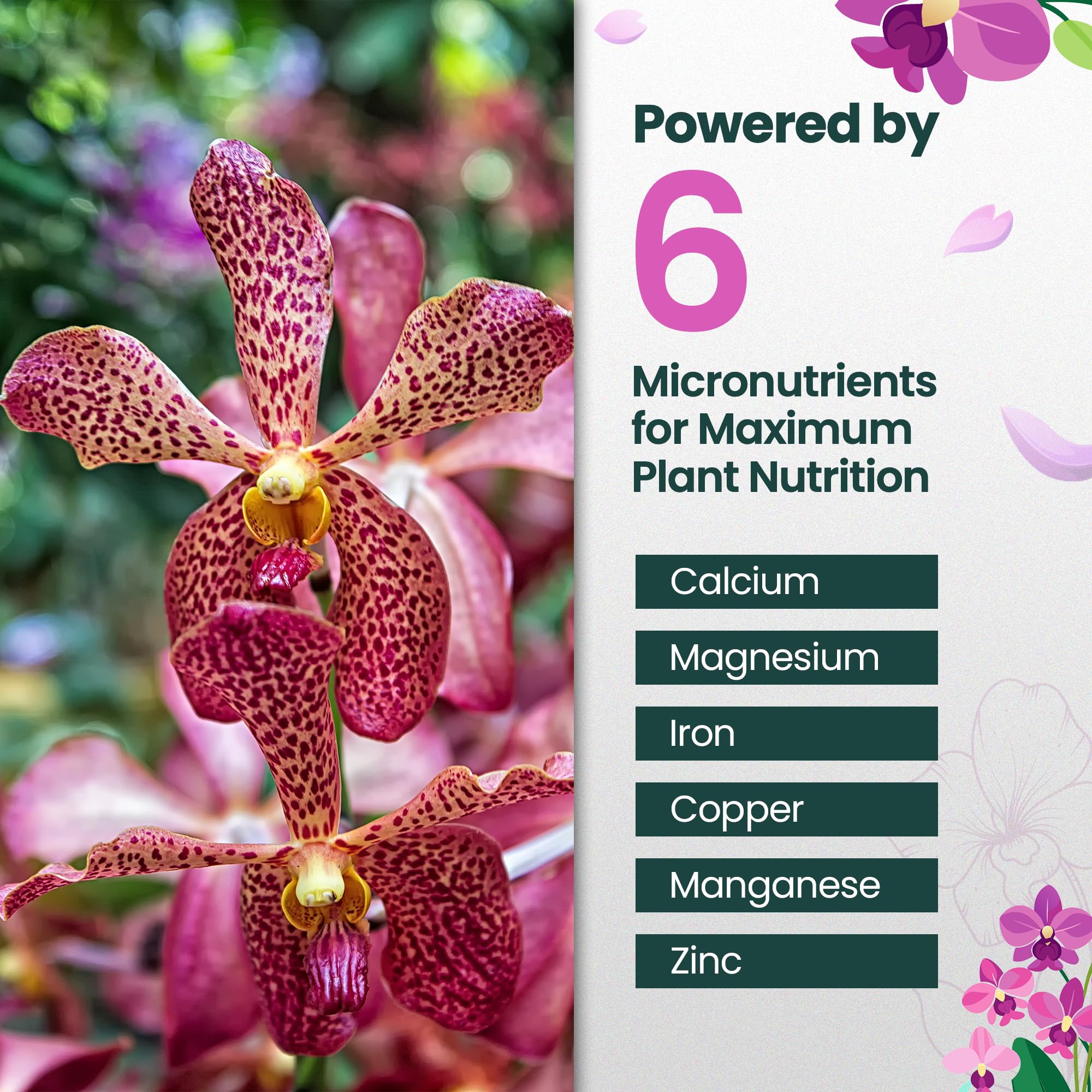 HiThrive Orchid Fertilizer promotes lush orchid blooms in a garden setting.