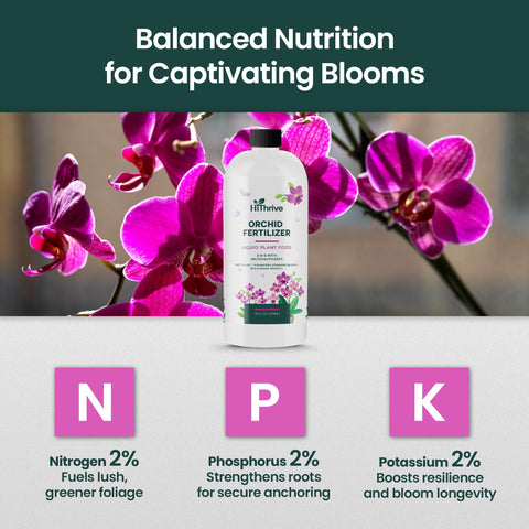 HiThrive Orchid Fertilizer used indoors and outdoors on orchids.