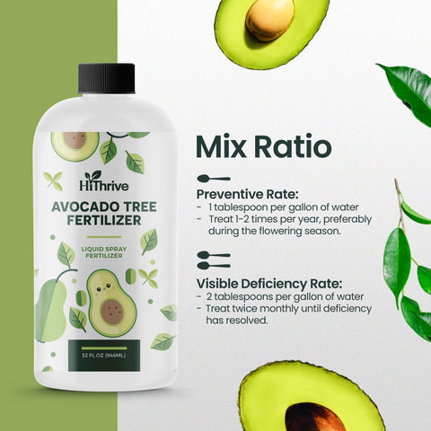 HiThrive outdoor garden scene showing healthy avocado tree and lush foliage