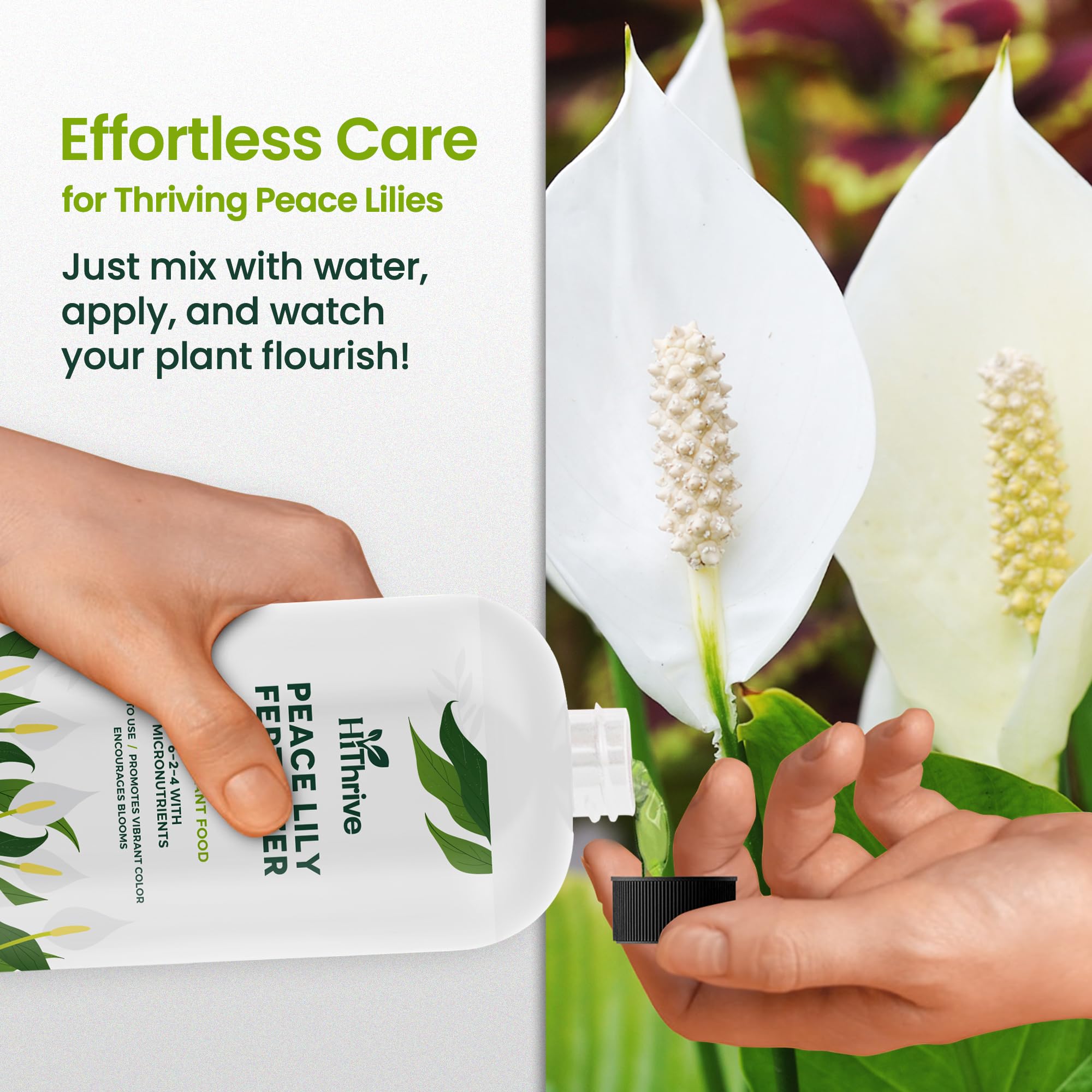 HiThrive indoor garden setup with Peace Lily and nourishment.